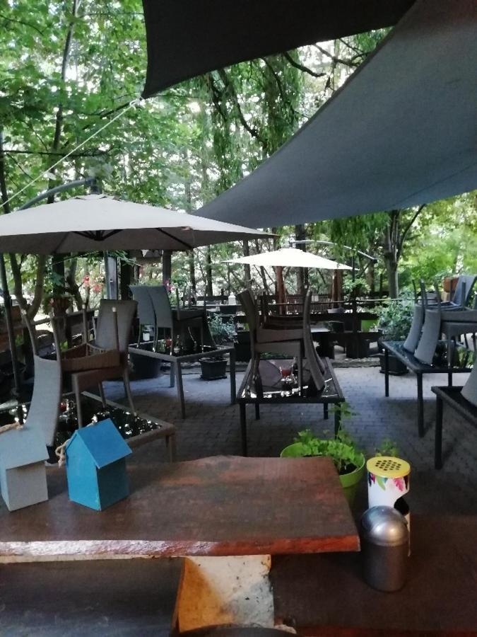 Hotel & Restaurant Le Chalvet 埃姆布能 外观 照片